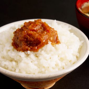 美噌元「ごはんにのせるとん汁」2