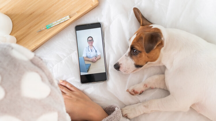 ペットを飼う人必見のアプリおすすめ8選 写真の共有や体調管理など役立つ機能が満載 選りすぐリストのレコメンドサイト Edimo