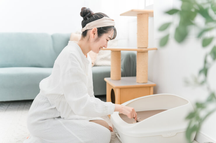 猫　トイレ容器