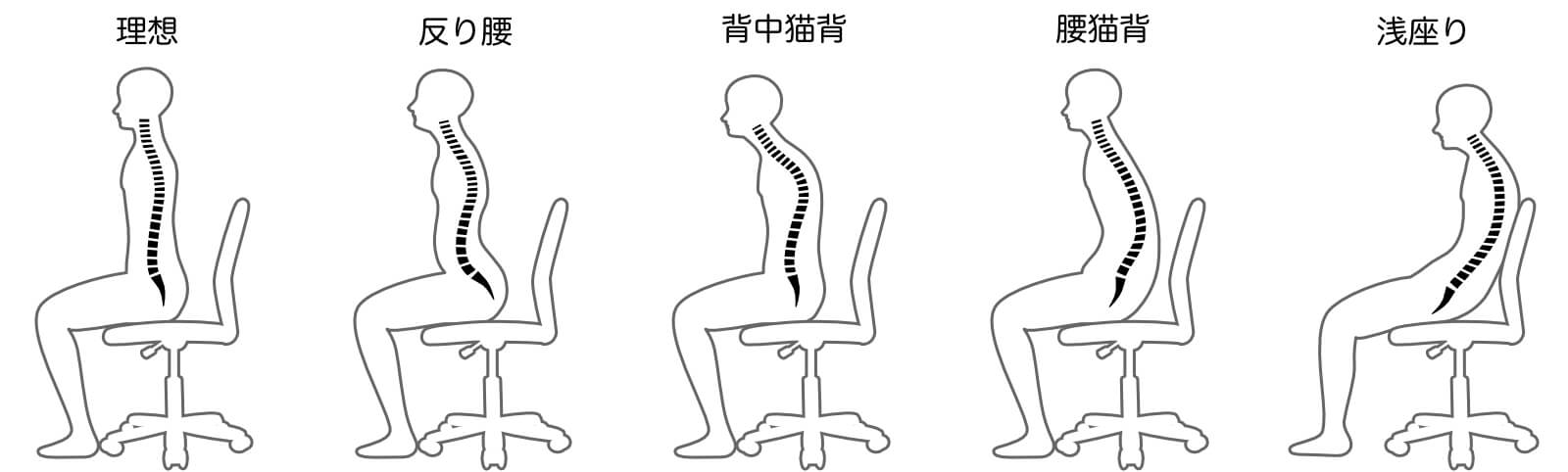 腰痛クッション　おすすめの理由