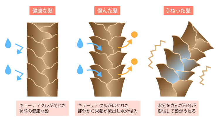 癖毛　スタイリング剤　トリートメント