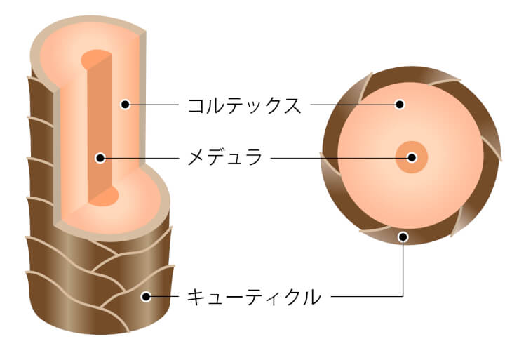 癖毛　スタイリング剤　トリートメント