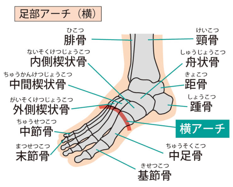 内反小趾　サポーター