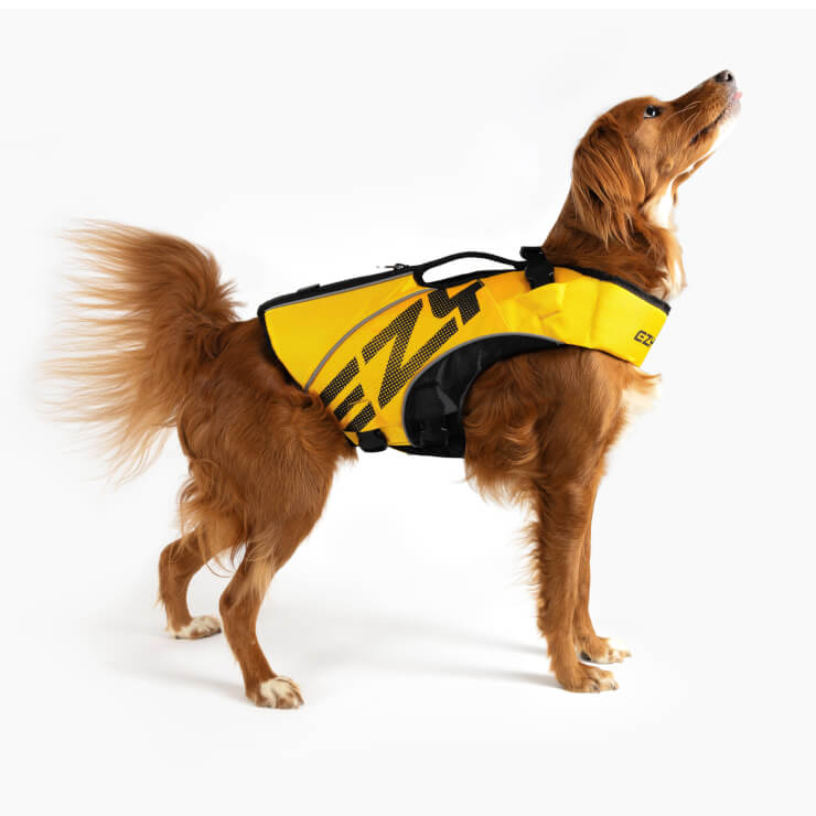 EZYDOG「DFDブースト」　ライフジャケットを着用した犬2