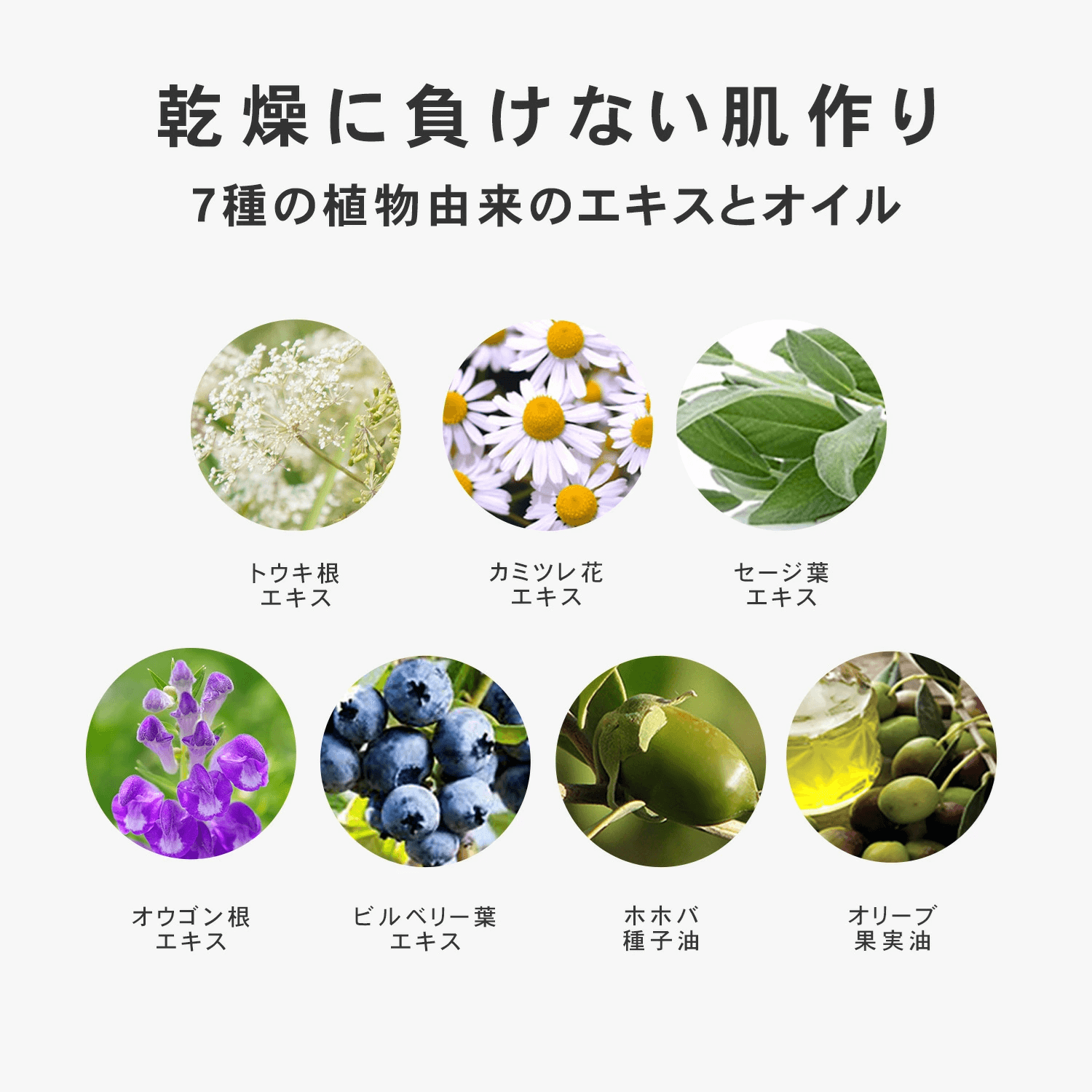 PLuSプリュ　カーボニックブースターセラム