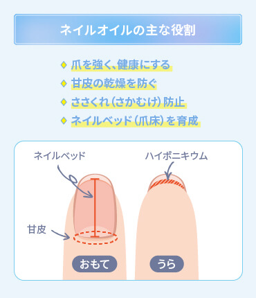 ネイルオイル 選び方